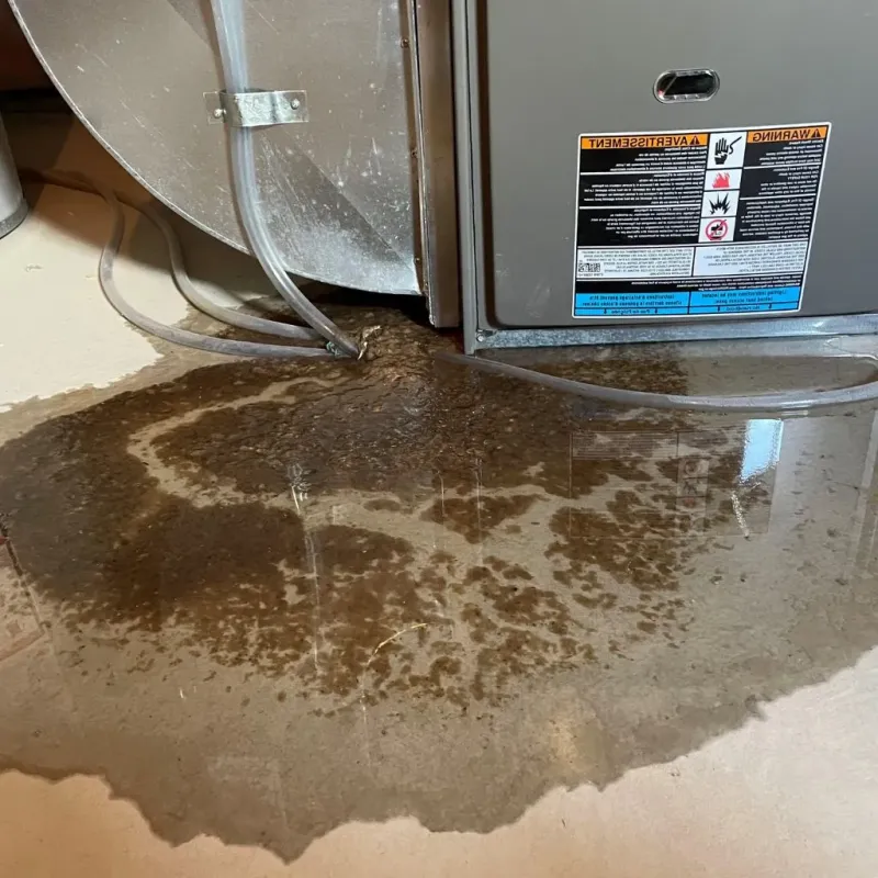 Pipe Burst and Leak Restoration in Colfax County, NM