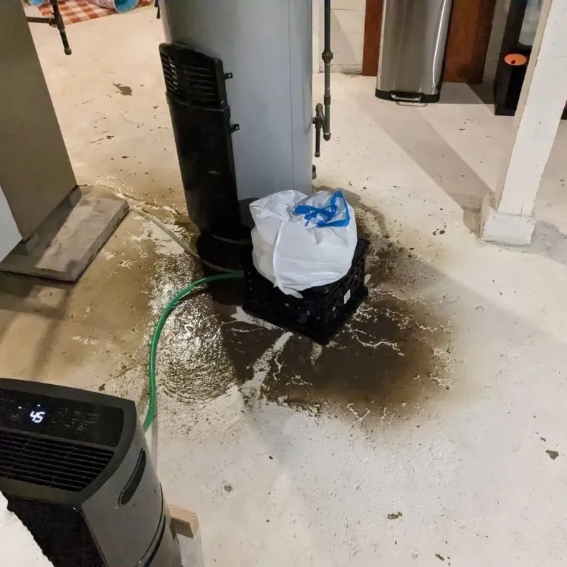 Sewage Backup Cleanup Service in Colfax County, NM